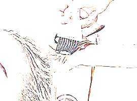 Услуги колориста (рисунок) | Студия красоты «Azur de Fleur» Услуги колориста (рисунок)